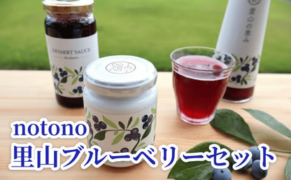 【復興支援】notono 里山ブルーベリーセット