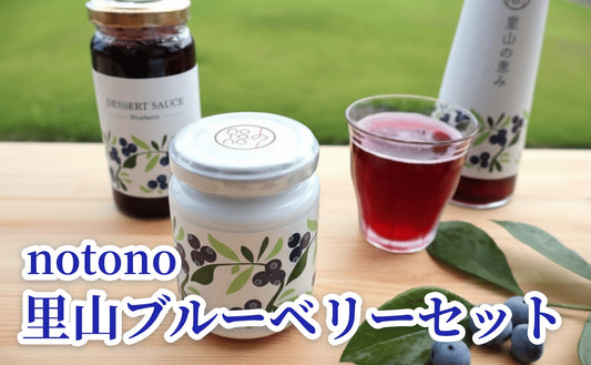 【復興支援】notono 里山ブルーベリーセット