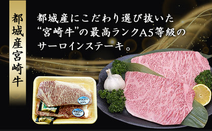 【特別返礼品】宮崎牛(A5)サーロインステーキ200g×2枚
