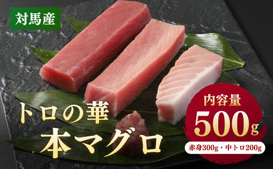 トロの華 本マグロ 500g（赤身300g・中トロ200g）