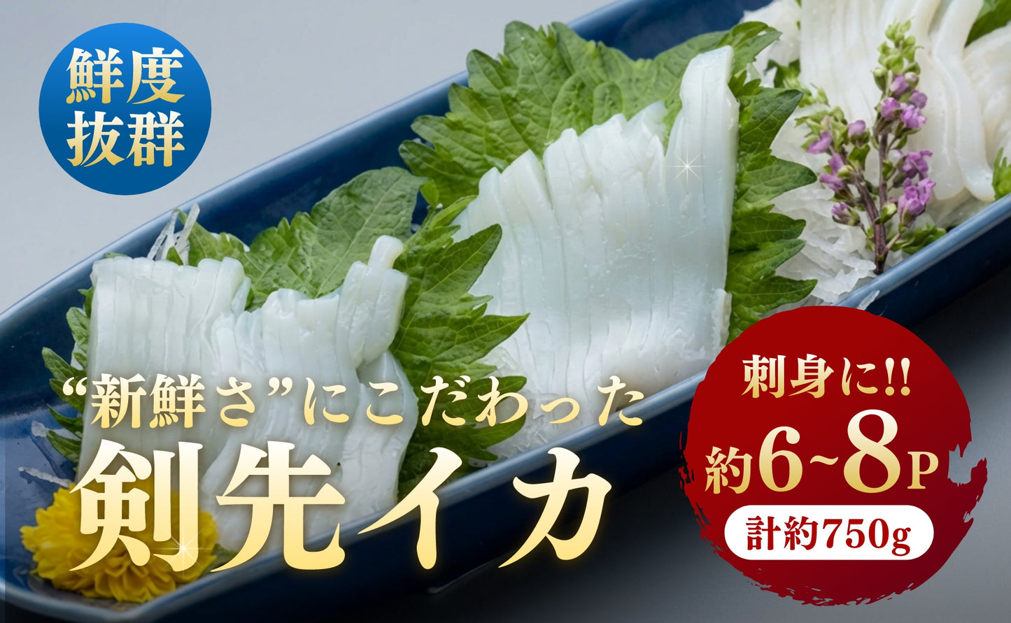 剣先イカ 750g(約6～8本) セット