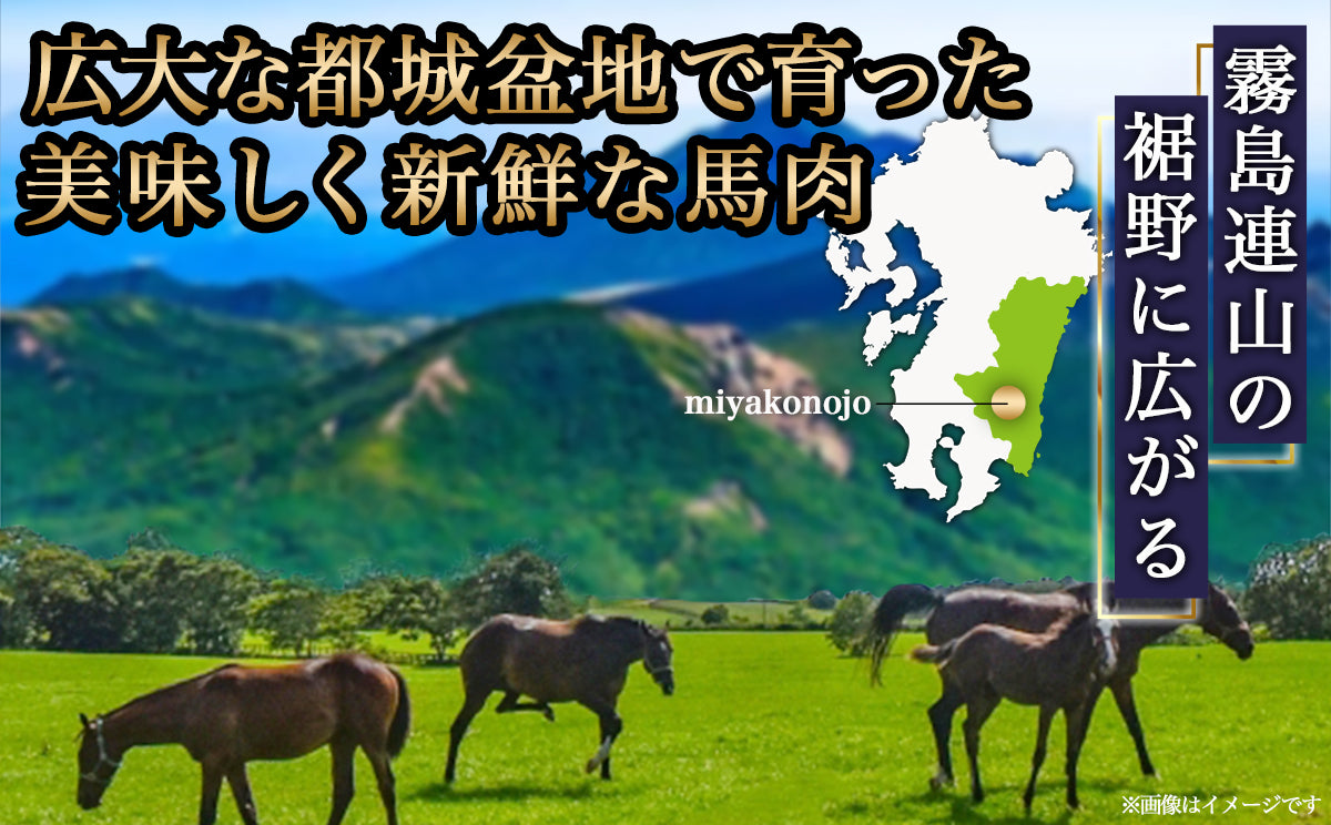 都城産「桜肉」馬刺し ロース・赤身ブロック300gセット