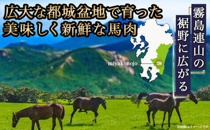 都城産「桜肉」馬刺し ロース・赤身ブロック300gセット